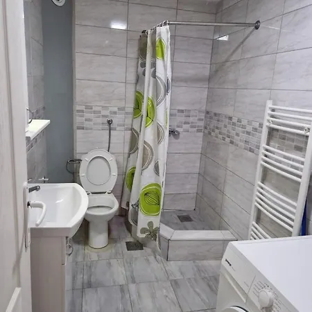 Apartment Plavi *